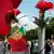 Red carnations in front of Portuguese flag surrounded by people