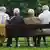 Пожилые мужчины сидят на скамейке в Кведлинбурге