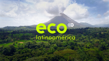 DW Eco Latinoamerica Sendungslogo
