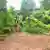 La forêt sacrée de Ouidah  