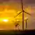 Windkraftanalgen bei Sonnenuntergang in den Niederlanden