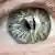 Menschliches Auge mit ganz speziell gemusterter Iris