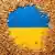 Пшеница на фоне украинского флага 