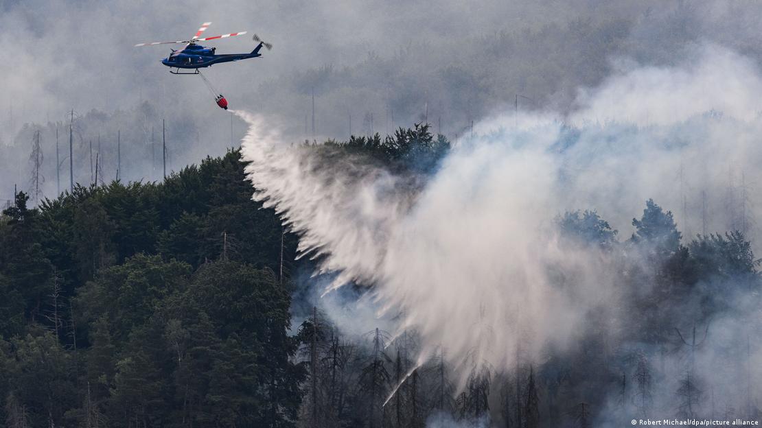 İsviçre'deki orman yangınında havadan söndürme çalışması 