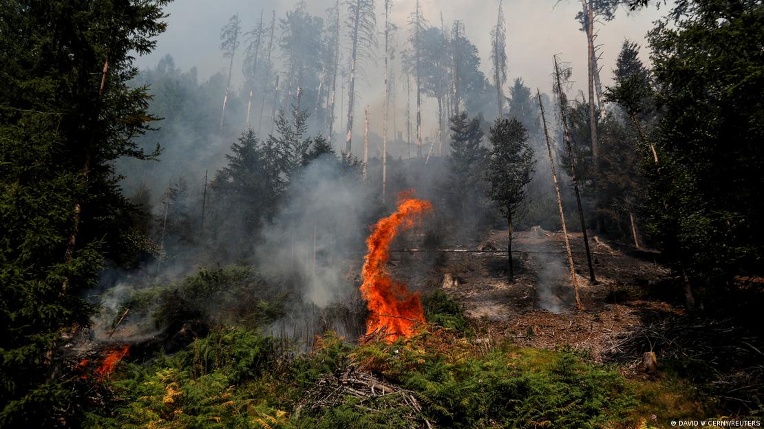 Çekya'daki bir orman yangınından 