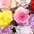 Разноцветные розы: розовая, желтая, красная, фиолетовая