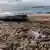 تحطم القارب قبالة ساحل في إيطاليا  (26/2م202023)
