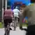 Overweight people on bikes seen from behind