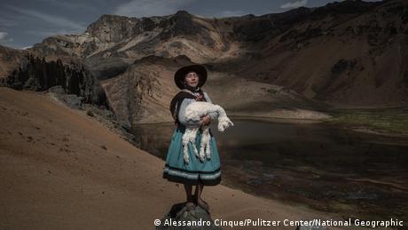 Mujer llevando una alpaca muerta en un entorno montañoso de aspecto árido. 
