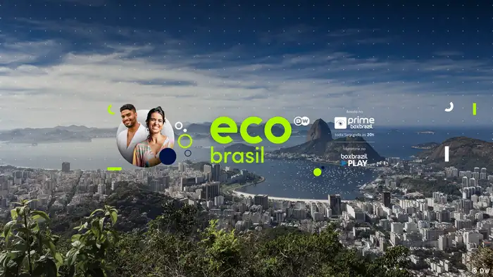 Visual Eco Brasil