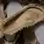 Birkenstock sandalet