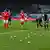Tossing tennis balls onto the pitch has been a favored method for protesting Bundesliga fans
