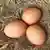 Tri kokošja jaja na slami
